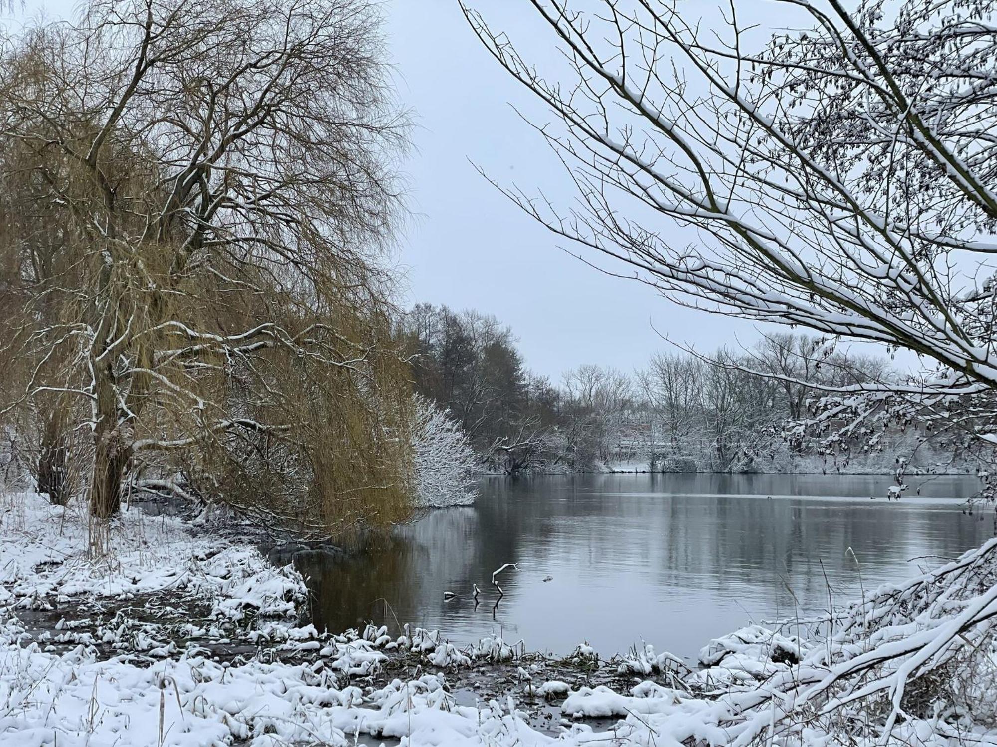 Flat In Eutin On The Kleiner Eutiner See Lake Екстериор снимка