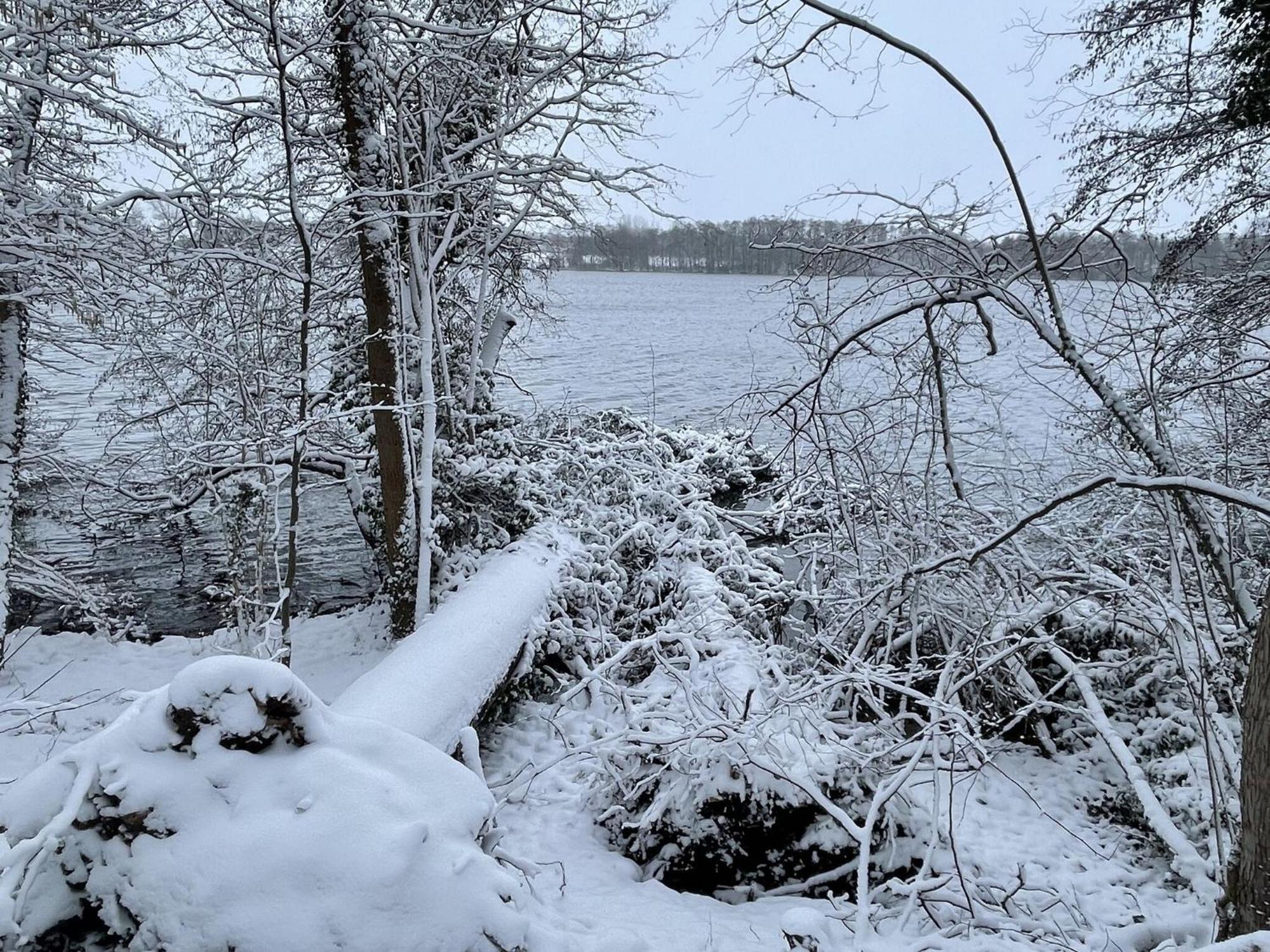 Flat In Eutin On The Kleiner Eutiner See Lake Екстериор снимка