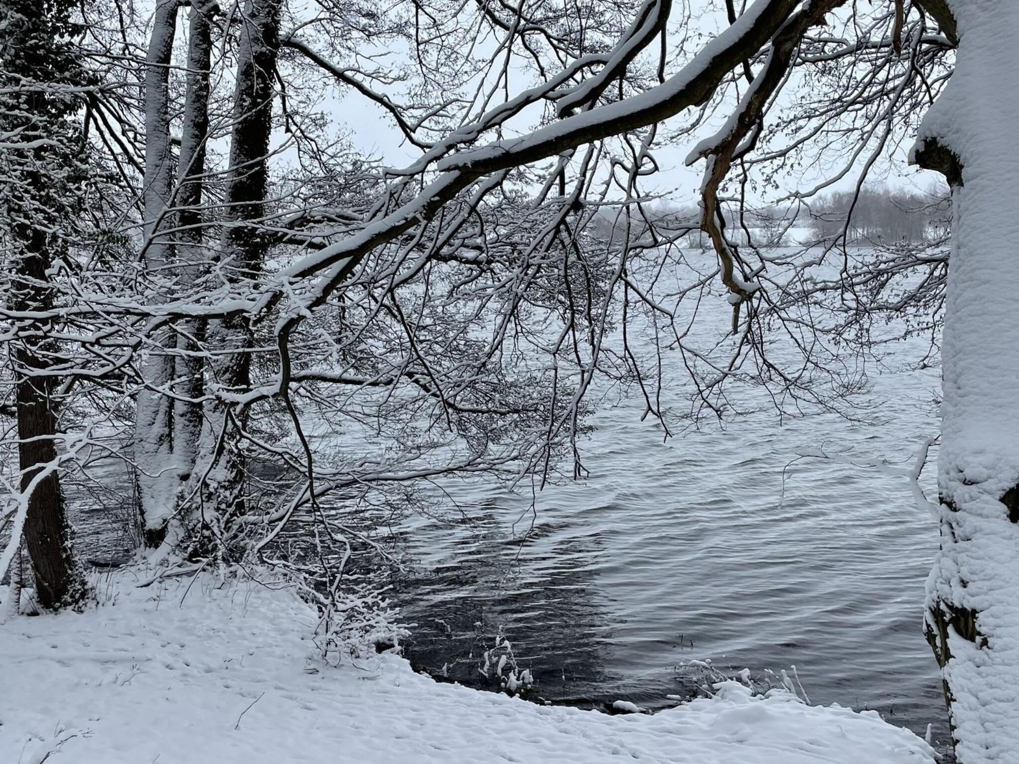 Flat In Eutin On The Kleiner Eutiner See Lake Екстериор снимка