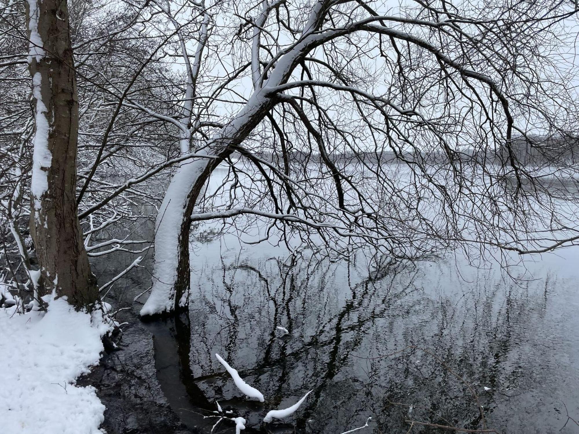 Flat In Eutin On The Kleiner Eutiner See Lake Екстериор снимка